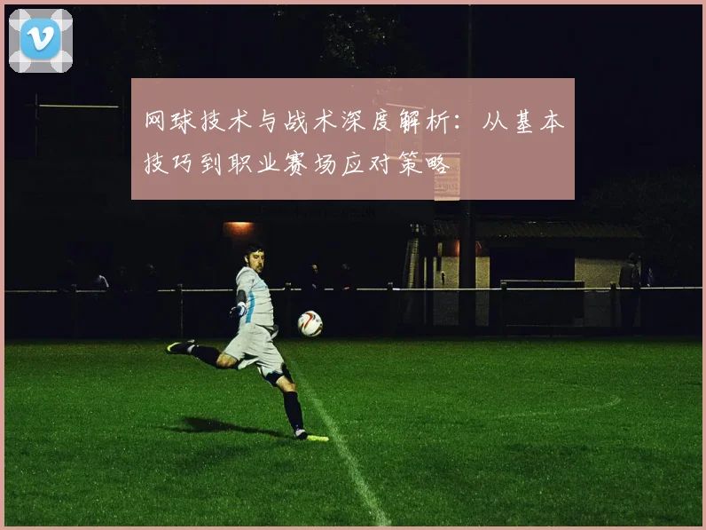 网球技术与战术深度解析：从基本技巧到职业赛场应对策略