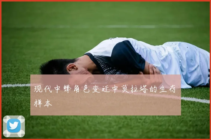现代中锋角色变迁中莫拉塔的生存样本