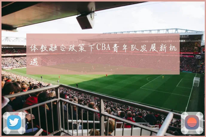 体教融合政策下CBA青年队发展新机遇