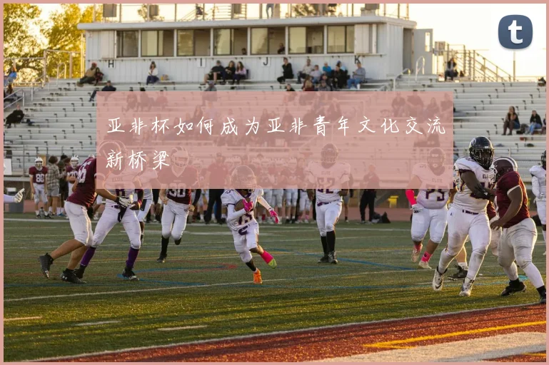 亚非杯如何成为亚非青年文化交流新桥梁